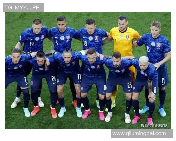 2016年奥地利对阵冰岛精彩直播回顾与赛后分析